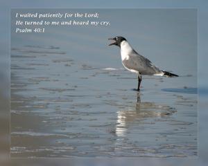 Daily Scripture Art Psalm 40 1
